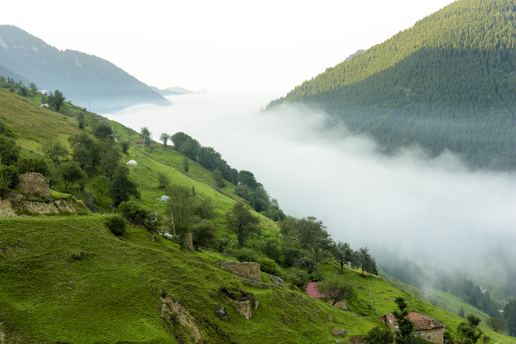 Mutlaka Görmeniz Gereken Trabzon Yaylaları